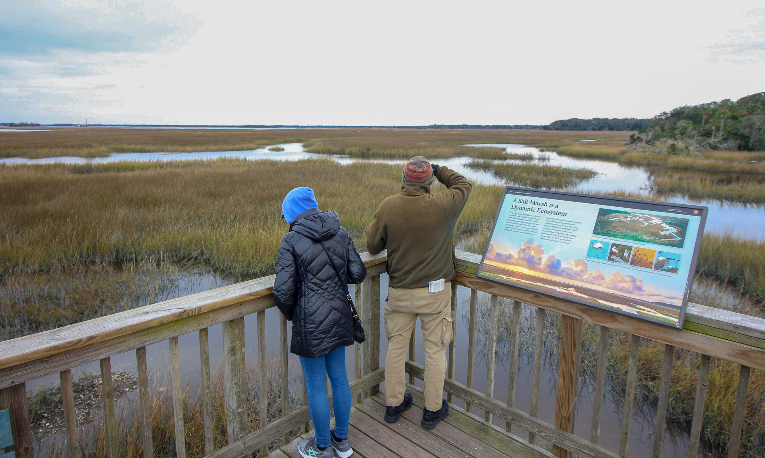 FL Timucuan Ecological and Historical Pres - saltmarsh - NPS Froh