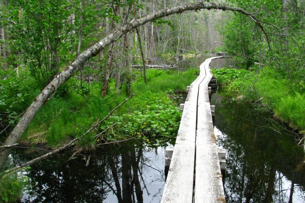 AK Klondike Gold Rush - Beaver Ponds on Chilkoot Trail - NPS K Unertl