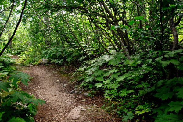 AK Klondike Gold Rush trail - NPS K Unertl