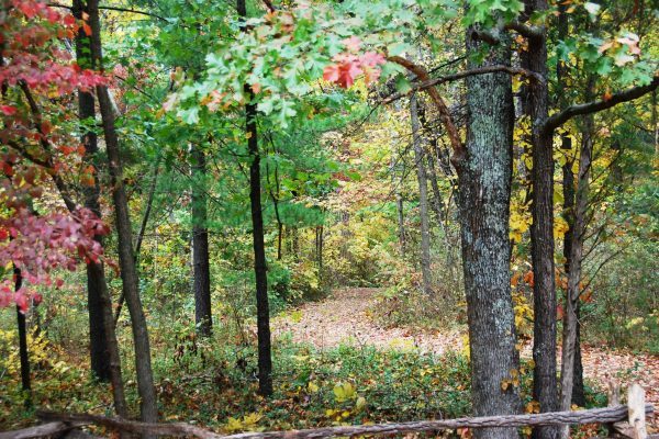 IN Lincoln Boyhood – hiking trail – NPS Paula Alexander ????????????????????????????????????