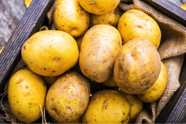Idaho potatoes