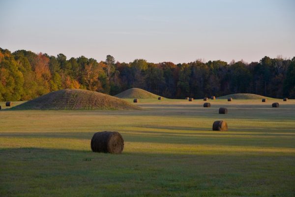 MS Natchez Trace Parkway - Pharr Mounds, Mississippi - NPS