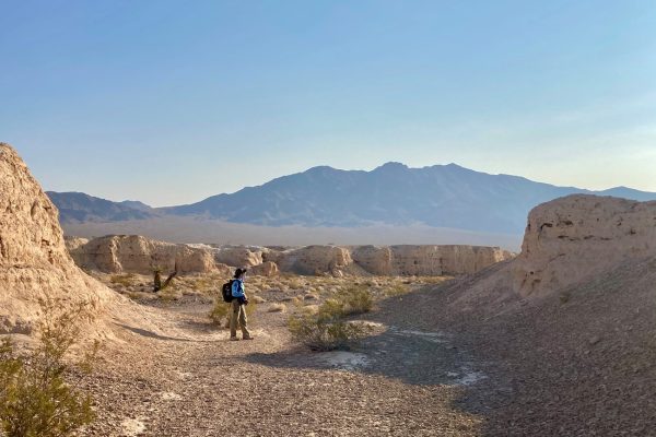NV Tule Springs Fossil Beds Nat Mon – Hiking through the desert landscape – NPS NV Tule Springs Fossil Beds Nat Mon - Hiking through the desert landscape - NPS