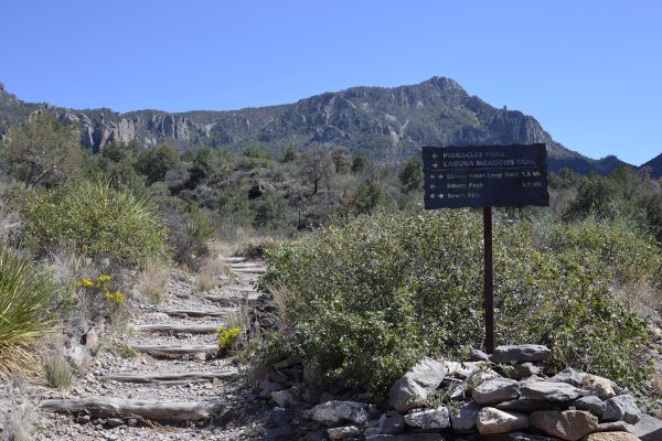 TX Big Bend - Chisos Basin Trail Junction - NPS Cookie Ballou