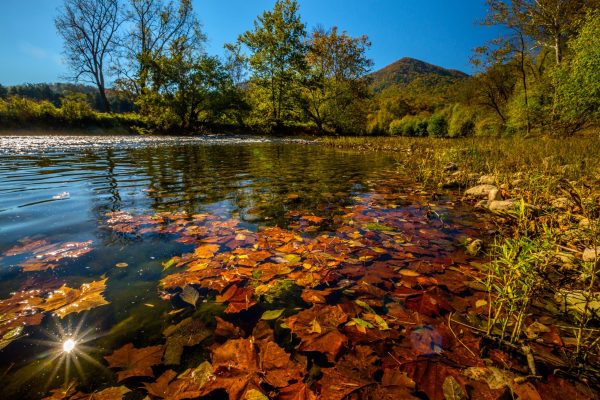 VA Cedar Creek and Belle Grove NPS Ann & Rob Simpson – public domain VA Cedar Creek and Belle Grove NPS Ann & Rob Simpson - public domain