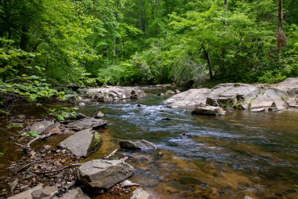 VA Prince Wlm Forest Park NPS – Claire Hassler – Cascades – public domain Photo captured on May 19, 2022 at Prince William Forest Park near Triangle, Virginia for the purpose of documenting place asset pins for the website/app. Photo by NPS / Claire Hassler