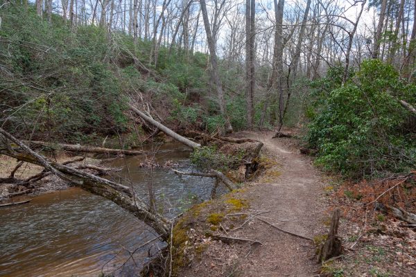 VA Prince Wlm Forest Park NPS Claire Hassler – creek and trail – public domain Photo captured on April 8, 2022 at Prince William Forest Park in Triangle, Virginia. Photo by NPS / Claire Hassler