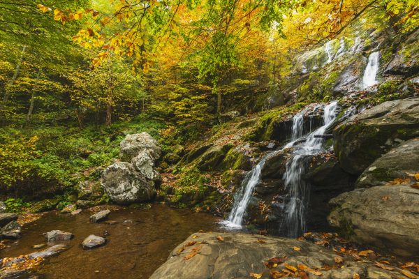 VA Shenandoah NPS Neal Lewis – Dark Hollow Falls – public domain VA Shenandoah NPS Neal Lewis - Dark Hollow Falls - public domain