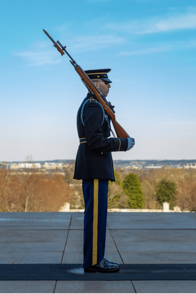 VA Tomb of the Unknown Soldier by Bruno Coelho from Bruno Coelho via Canva VA Tomb of the Unknown Soldier by Bruno Coelho from Bruno Coelho via Canva